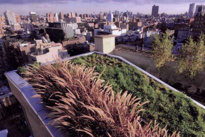 百老汇684号园林景观设计鸟瞰城市