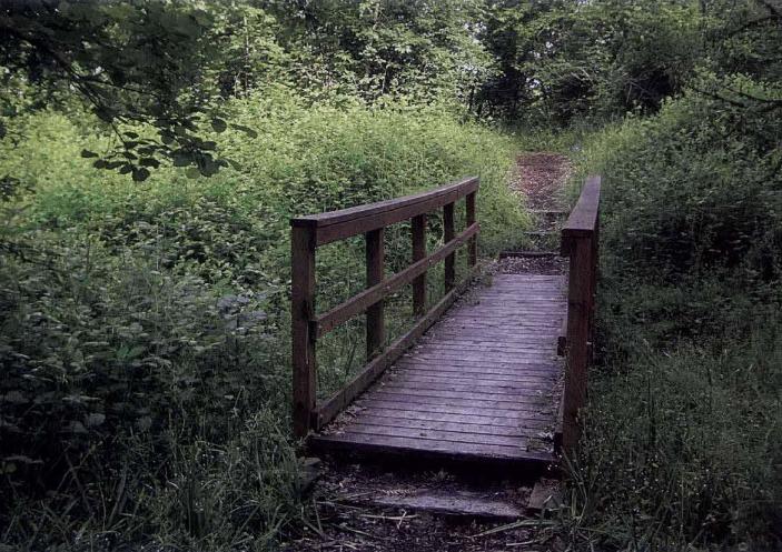 多里斯农场园林景观设计小桥