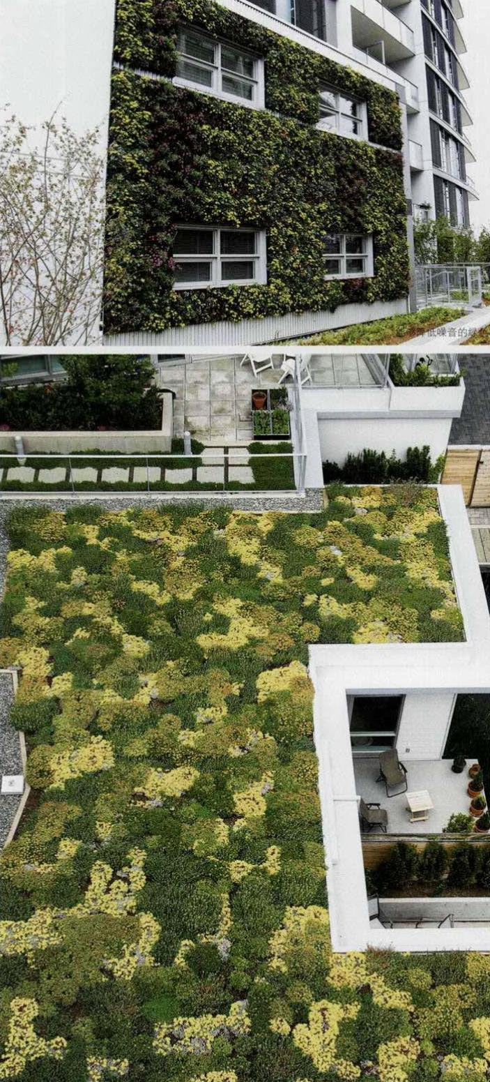 社区内的屋顶绿化