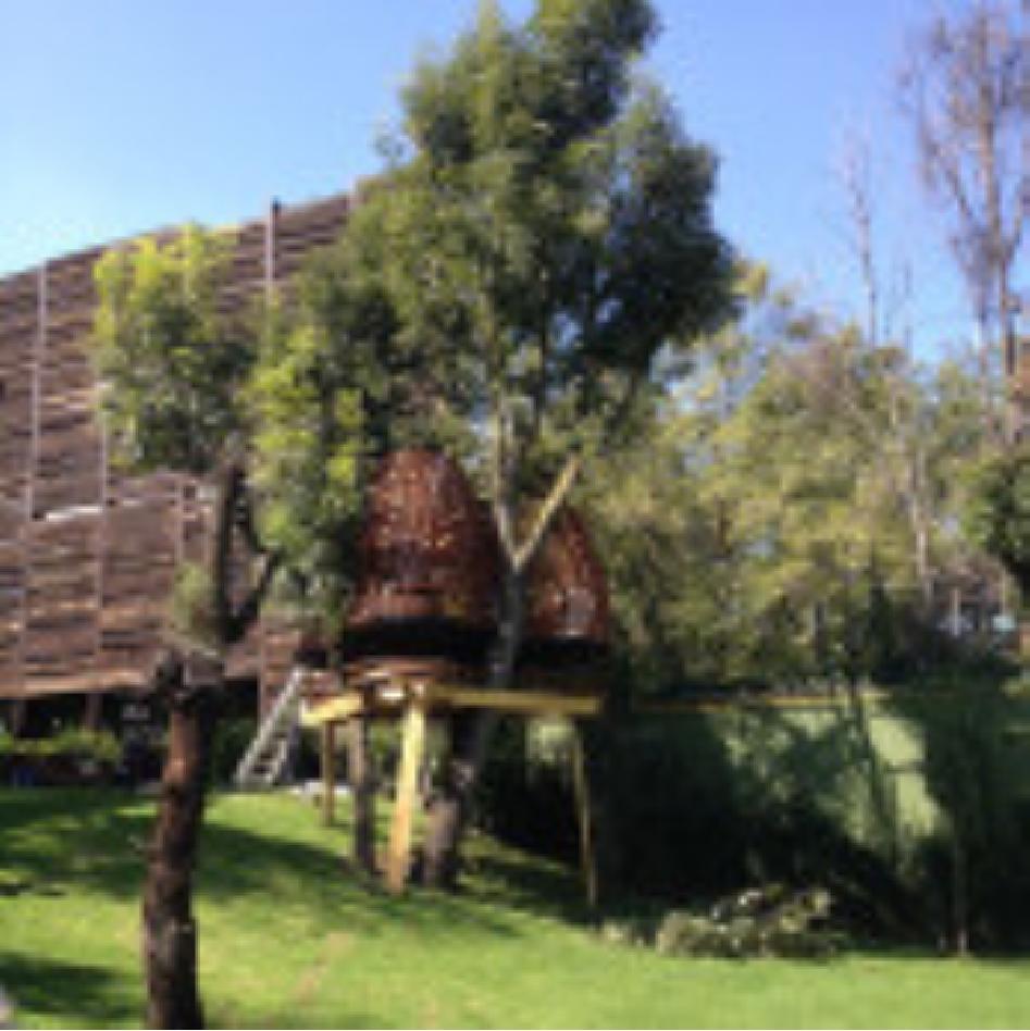 墨西哥新颖的树屋